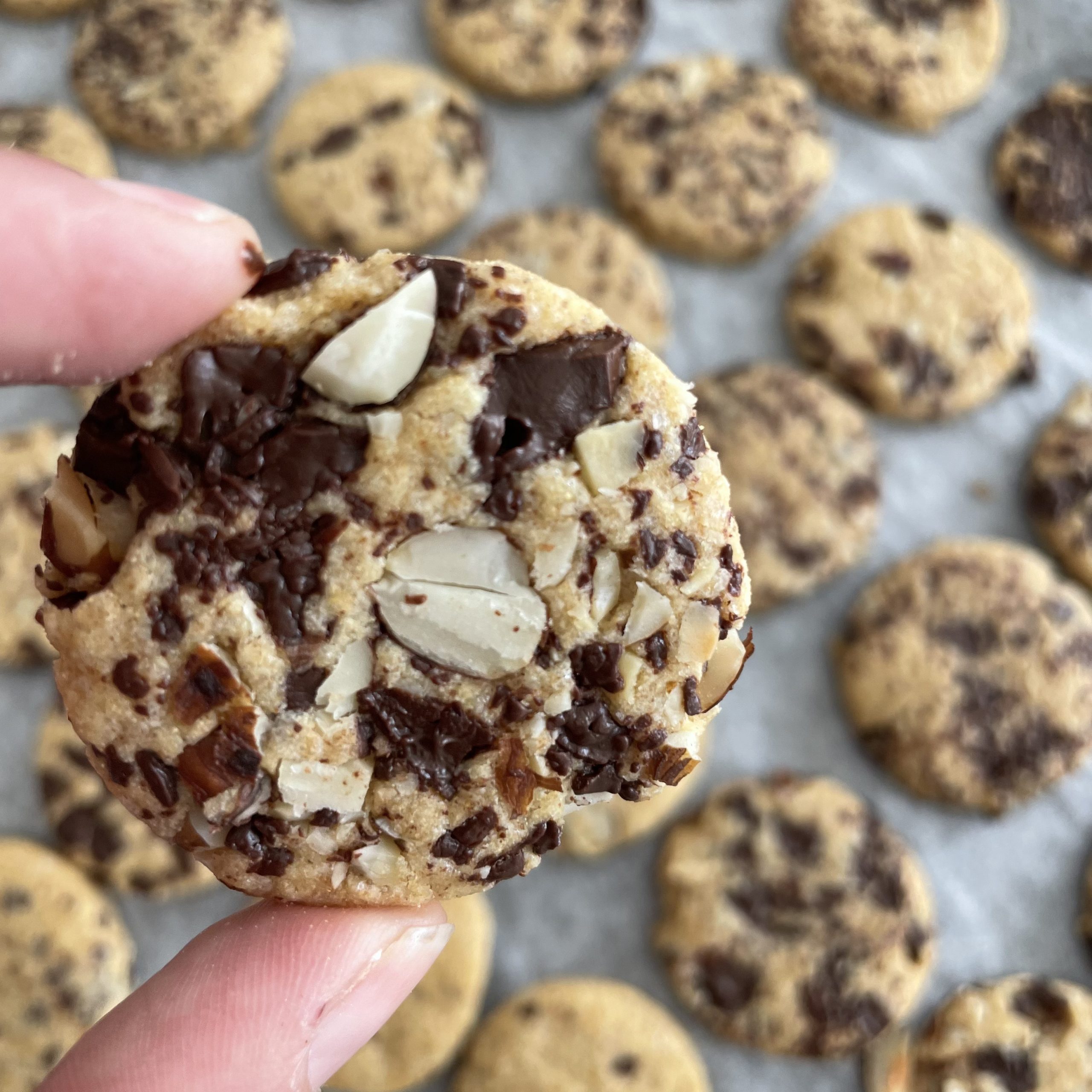 Scopri di più sull'articolo BABY COOKIES VEGANI